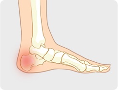 img02.jpg